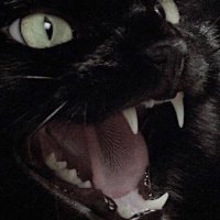 ☆ alice ☆ (@m4llwh0r3) 's Twitter Profile Photo