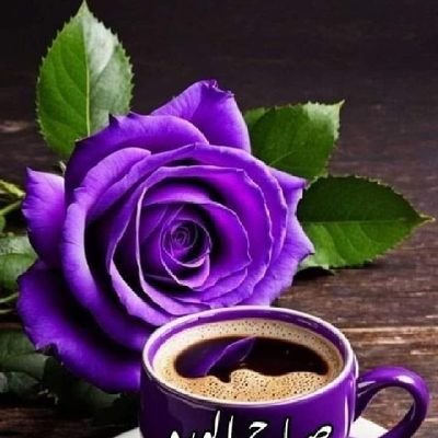 عراقية للنخاع اكره تبعية البشر
هذا حسابي الثاني بعد ماتم غلق حسابي الاول 😔