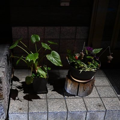 ノブ 写真アカウントさんのプロフィール画像