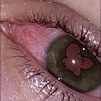 $$$ (@moneymfmann) 's Twitter Profile Photo