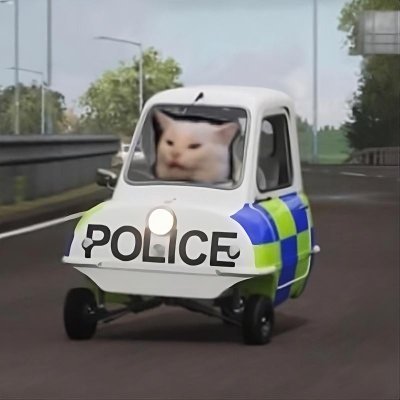 Finito pipo l Car guy and meme enjoyer l Parfois en stream https://t.co/22NpHCgrhs