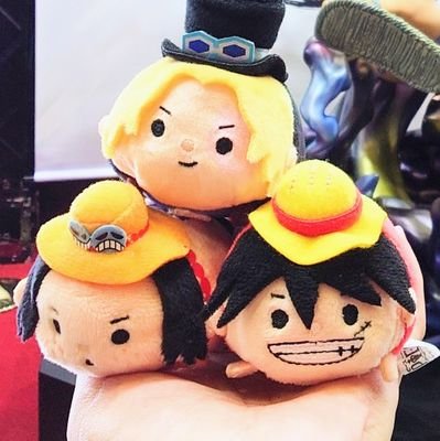 征也さんのプロフィール画像