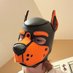 Pup Zackary (@pupzackary) Twitter profile photo Pup Zackary (@pupzackary) Twitter profile photo