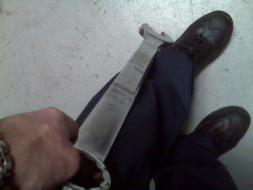 peteywrench's profile picture. old for a dog, young for a tortoise, mechanically inclined, socially un-inclined (?), friend to few, enemy to none, master of my domain, slave to The Man