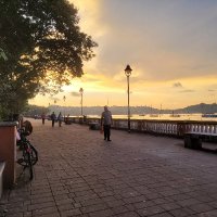 Ajay Kumar (@ajkumarpa) 's Twitter Profile