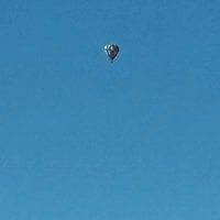 縹 (@hanada6466) Twitter profile photo