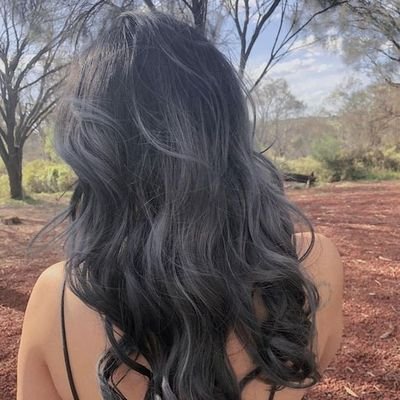 giangeeks's profile picture. 