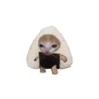 🍙 (@naengdongo) 's Twitter Profile Photo 🍙 (@naengdongo) 's Twitter Profile Photo