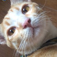 nuoor (@nantaporn2527) 's Twitter Profile Photo