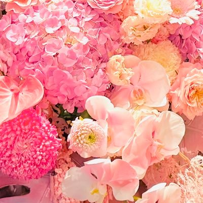 0oamamurasakio0's profile picture. お取引用アカウントになります。 本垢提示以後本垢DMでのお取引も可能です。よろしくお願い致します。