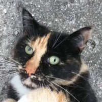 Hawer (@haweryadoin) 's Twitter Profile Photo Hawer (@haweryadoin) 's Twitter Profile Photo