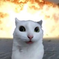 Uno (@unononooo_) 's Twitter Profile