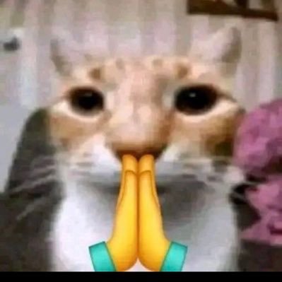 maobugi_high's profile picture. noob https://t.co/1xu35OJcO3 .