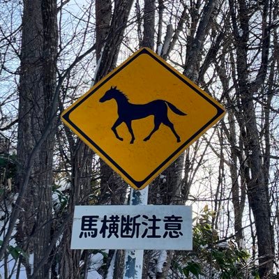 SpringAwakenin's profile picture. 牡42