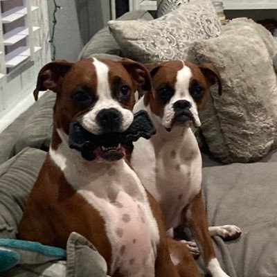 EileenS2525's profile picture. Jax Badgers and Ponte Vedra HS Coach