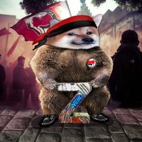 Hauptstadtbeamte (Gewürzmischungsverkäuferin) 🔥🤡 (@hsb_forum) 's Twitter Profile