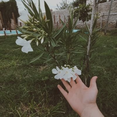 Vengo a tw a quejarme. Siempre drama queen 🌼