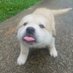 James (@james4507334754) Twitter profile photo James (@james4507334754) Twitter profile photo