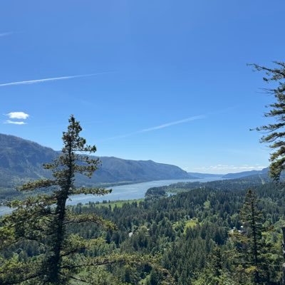 ASabanayagamMD's profile picture. ACHD/Echo , Co-Director Cardio-OB, APD Cardiology fellowship program @UCSF Passionate about treating 💖disease,🍫holic,fitness,nature loving,dreamer.