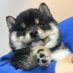 yi_ni37272 (@ni37272) Twitter profile photo yi_ni37272 (@ni37272) Twitter profile photo