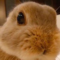 c (@yaoislaydesu2) 's Twitter Profile