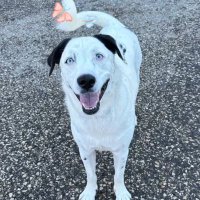 WPG_GUY (@guywpg420) 's Twitter Profile