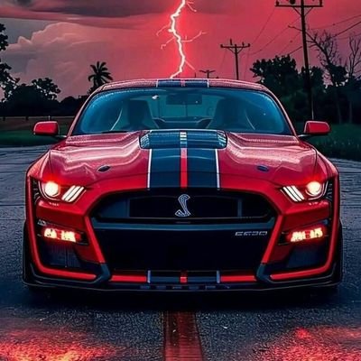 Roberto441220mh's profile picture. 