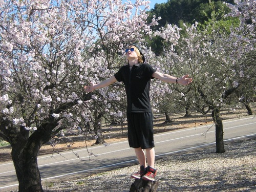 WBBoY1232's profile picture. 