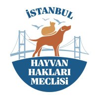 İstanbul Hayvan Hakları Meclisi (@istanbulhhm) Twitter profile photo