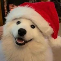 砂☀️✨ (@khosatinoi) 's Twitter Profile Photo 砂☀️✨ (@khosatinoi) 's Twitter Profile Photo