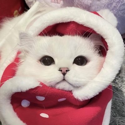 jt_nc615's profile picture. 懸賞垢 初心者です🔰沢山のご縁がありますように☺️🫶🏻