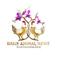 Daily Animal News (@lequang6838) 's Twitter Profile