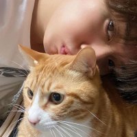 rizaa long rest (@starielaa) 's Twitter Profile