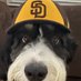 Doodles & Padres (@luis_6383) Twitter profile photo Doodles & Padres (@luis_6383) Twitter profile photo