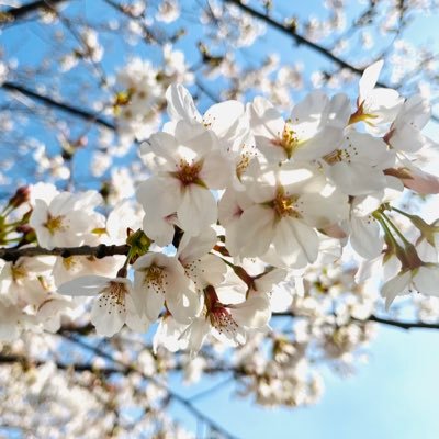 6/13 '10 受験生 男|22:00~4:00浮上不可|Canon EOS R50|Twitterと一眼初心者電車オタク|写真はWiFi転送|武蔵野線民|ウルトラマン好き|変な垢意外フォロバします|無断転載禁止|鍵(仲良い人、LINE繋いでる人のみ)→https://t.co/JnatTVafMm