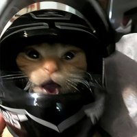 ifaaaaa (@larezzzz007) 's Twitter Profile