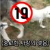 제로&슈가커플 (@zerosugar892) Twitter profile photo 제로&슈가커플 (@zerosugar892) Twitter profile photo
