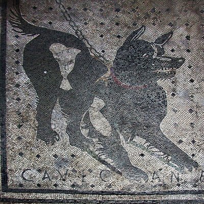 CaveCanem11111's profile picture. 𝐕𝐓：💍💕︎︎love=charmulet(らぶちゃ)推し🐟│
🎮：雀魂(四麻/東風/豪2)/ブルアカ│
👀：株主優待＋配当/F1│
📓：20年やる気出ない民/仕事はｱﾘﾊﾞｲ程度/❌1│
⚠️：ヘッダーは配当アプリの表示(≧з≦) 4%にしる・ヴ・ぷれぷれプレジデント🎤( ᐖ グミの人気に嫉妬( ᐛ