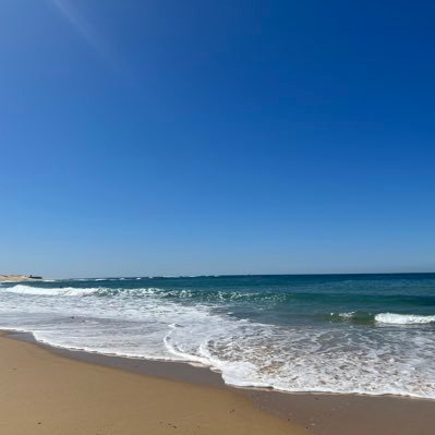 Miatera160's profile picture. エネルギー 業界、商社業界志望