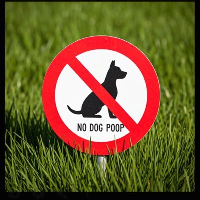 We will bring you our neighbourhood’s finest filth, its best dog shits, in a visual celebration of our collective disregard for our public spaces.