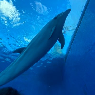 あたしの推しキャストは永遠にねおで決まりです！ 来年の目標できた！それに向けて貯金頑張る！！