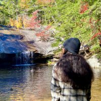 JStocker808 (@jstocker808) 's Twitter Profile