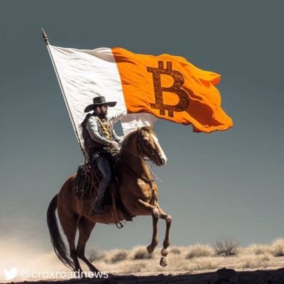 0xContender's profile picture. Bitcoin liberty