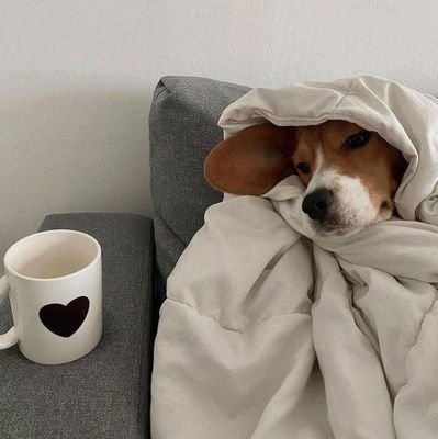 XXX_naeol's profile picture. 