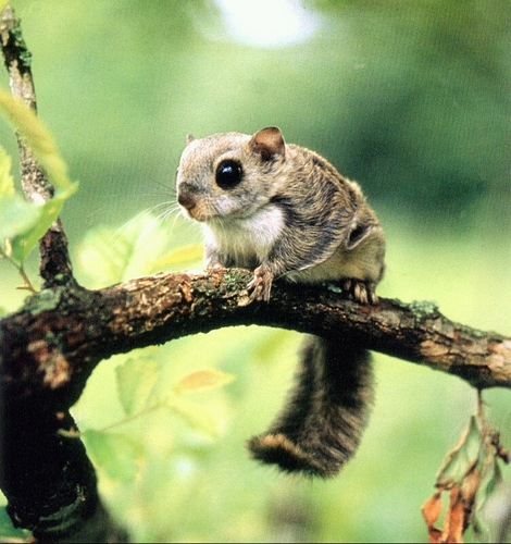 nongmin2005's profile picture. 나무늘보아빠