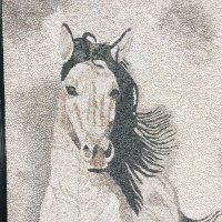 isa (@isa72601154) 's Twitter Profile