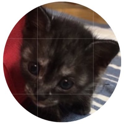 yokko514BESTY's profile picture. #BEFIRST #RYUHEI #BMSG #BESTYと繋がりたい 無言フォロー🙏逆は大歓迎🔄🆗 愛しかない 応援垢 失礼あったら🙇‍♀️'22の7月凍結されました🥲🐉推し💕ビーファ全員大好き🫶🏻美味しい物大好き😋ファンアカウントBESTY🤍