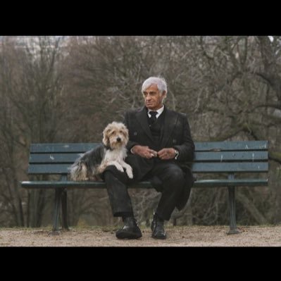 Adilcracodil's profile picture. 