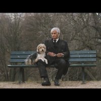 Adil (@adilcracodil) 's Twitter Profile