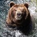 Bear3378 (@bear331978) Twitter profile photo